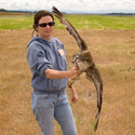 Carole Hallett, Pacific Habitat Services, Portland, Oregon, Environmental Consulting, Wetland Delineation, wetland consultant 