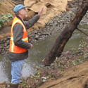 Dale Shank, Pacific Habitat Services, Portland, Oregon, Environmental Consulting, Wetland Delineation, wetland consultant 