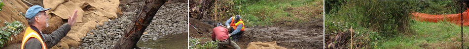 Pacific Habitat Services, Portland, Oregon, environmental consultants, wetland delineation, environmental construction, bioengineering, streambank stabilization, wetland enhancement