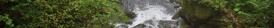 Pacific Habitat Services, Portland, Oregon, National Environmental Policy Act, NEPA Documentation, environmental assessments, checklists, categorical exclusions