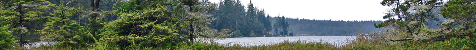 Pacific Habitat Services, Portland, Oregon, Water Quality, water quality analysis, wastewater treatment, wetland design, lake management, soil chemistry, toxicology, watershed assessment, erosion control, hydrology